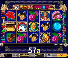 VIP Casino 57a